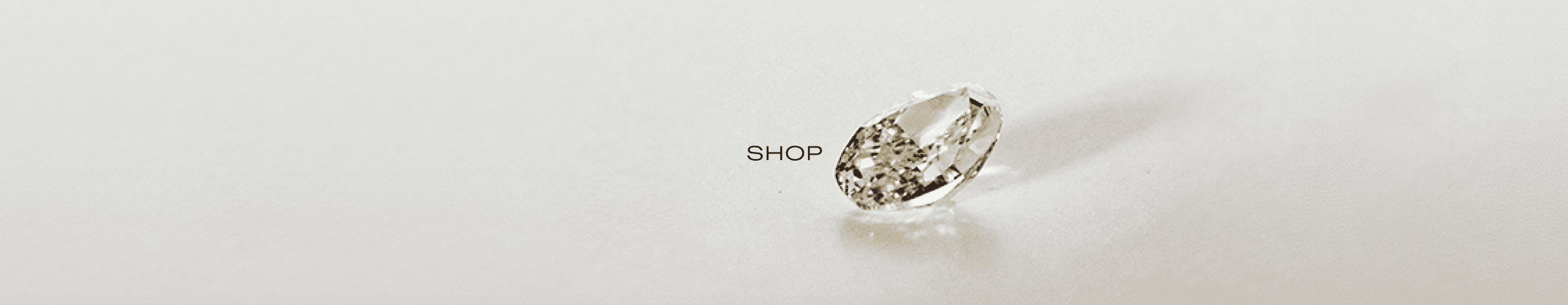 Jewelry collection banner